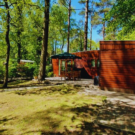 Wooden Nature Chalet - Dennenrhode Doornspijk Villa Eksteriør billede