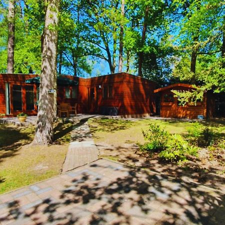 Wooden Nature Chalet - Dennenrhode Doornspijk Villa Eksteriør billede