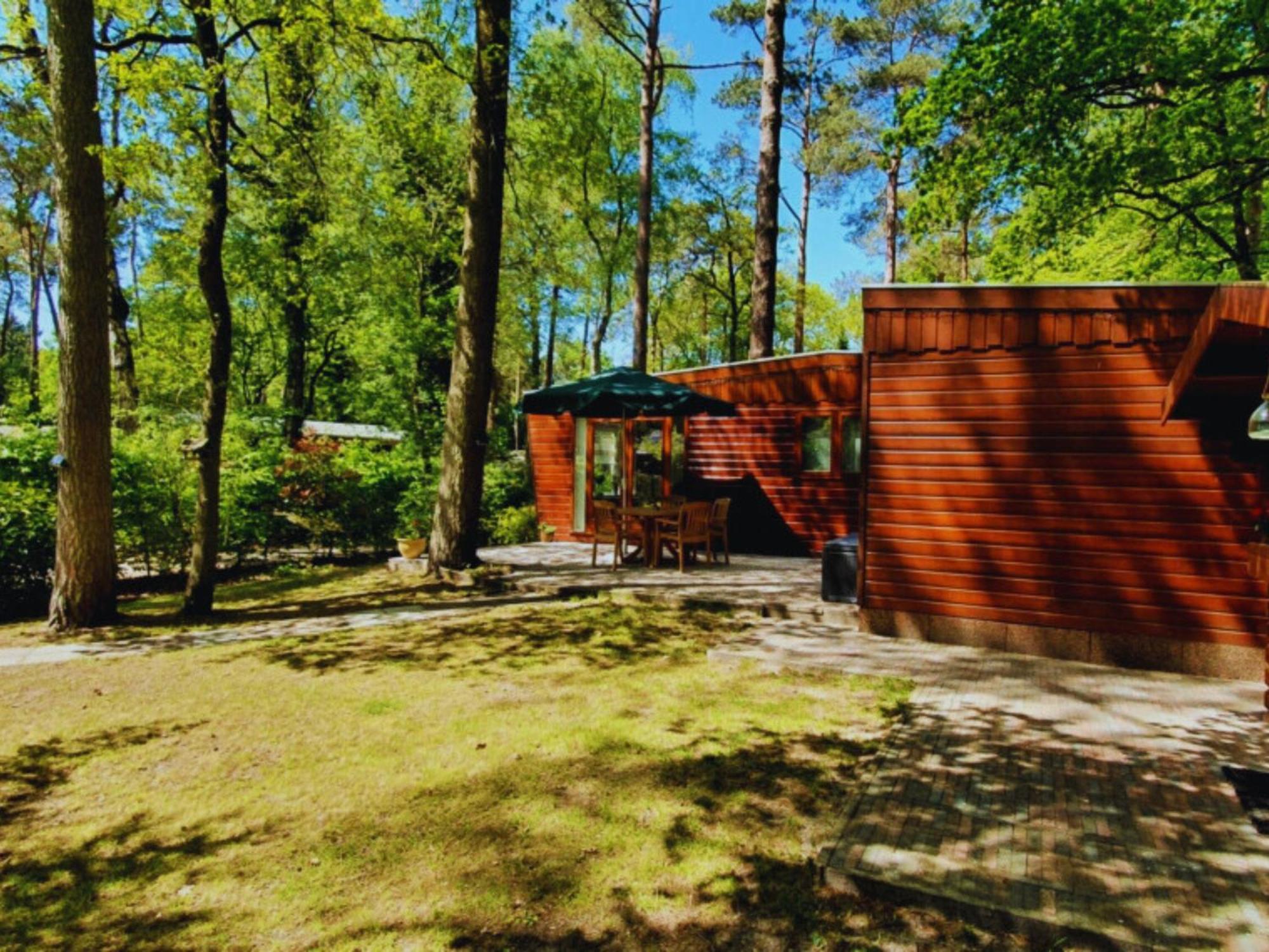 Wooden Nature Chalet - Dennenrhode Doornspijk Villa Eksteriør billede